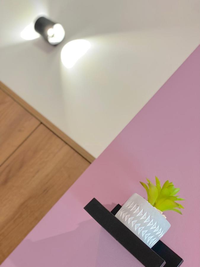 Colourful Apartment For 4 Guests And Free Parking ستارا زاغورا المظهر الخارجي الصورة
